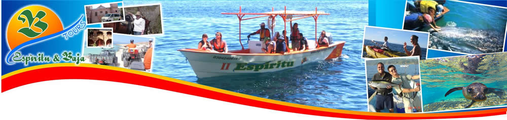 Espiritu and Baja Tours. La Paz, B.C.S. Mexico